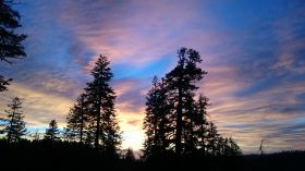 DSC_2819.jpg